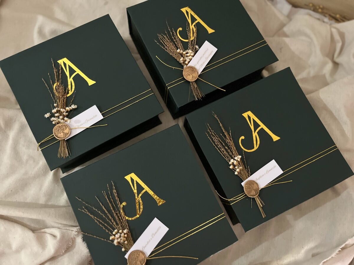 LINHA DE CAIXAS CARTONADAS LAPLACE ⚡