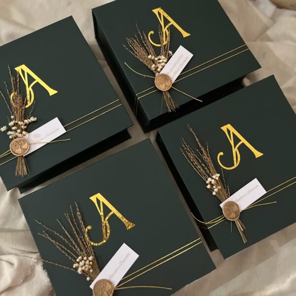 LINHA DE CAIXAS CARTONADAS LAPLACE ⚡